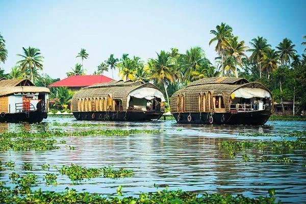 Marari Beach Cleetus Homestay Mararikulam Kültér fotó