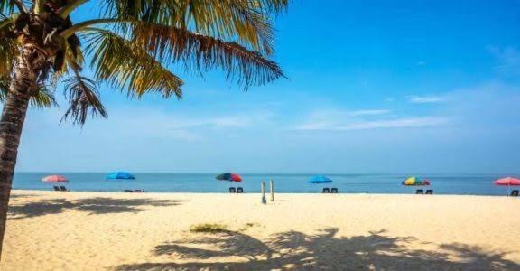 Marari Beach Cleetus Homestay Mararikulam Kültér fotó